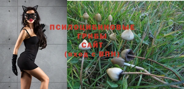 экстази Козловка