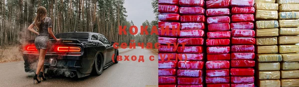 ПСИЛОЦИБИНОВЫЕ ГРИБЫ Козельск