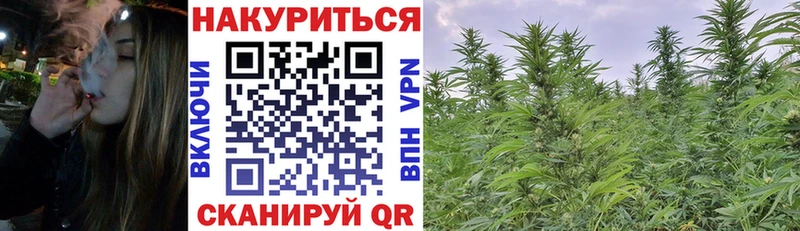 Купить  Мензелинск  Бошки марихуана конопля 